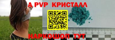 прущие грибы Шебекино