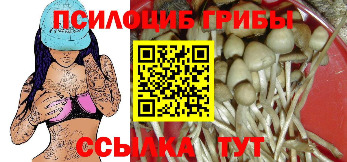 Псилоцибиновые грибы Magic Shrooms Вольск