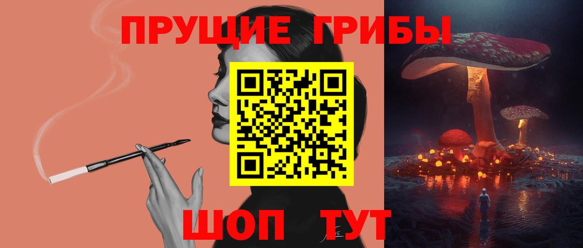 где купить   Галлюциногенные грибы Psilocybine cubensis  Вход с VPN  Вольск 